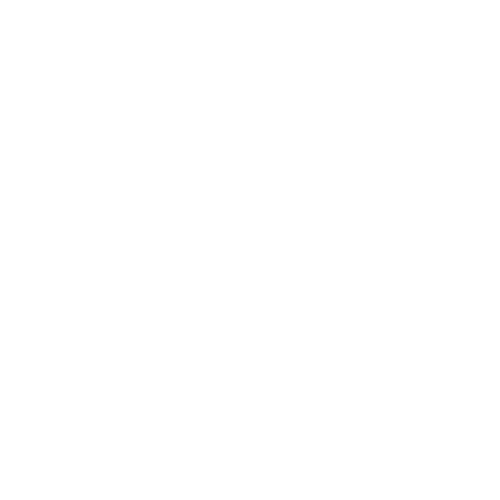 MusclesBoost INC